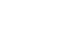 Stellify Logo